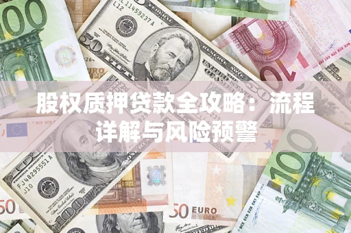 济南股权质押贷款全攻略：流程详解与风险预警
