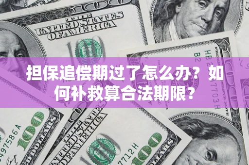 济南担保追偿期过了怎么办？如何补救算合法期限？