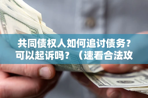 济南共同债权人如何追讨债务？可以起诉吗？（速看合法攻略）
