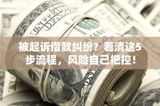 济南被起诉借款纠纷？看清这5步流程，风险自己把控！